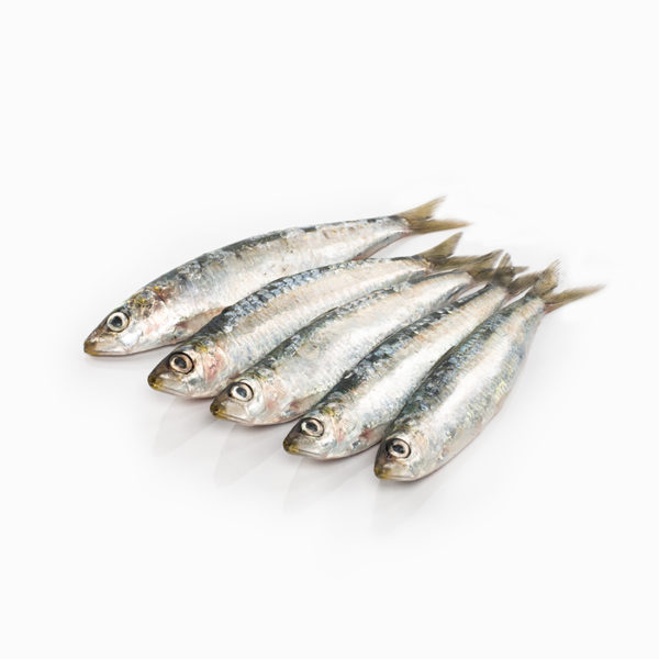 Sardina (500 gr)